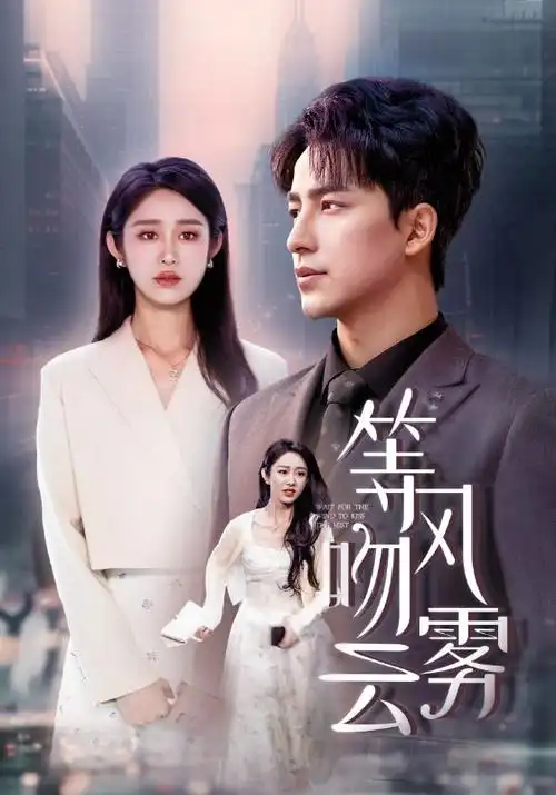 快播电影电视剧《雾港往事》高清海报